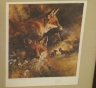 AFTER MICK CAWSTON "Study of fox", limited edition colour print No'd.