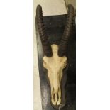 A Sable skull and horns raised on a shield shaped plaque