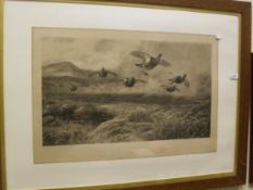 AFTER ARCHIBALD THORBURN "Grouse in Flight", monochrome print,
