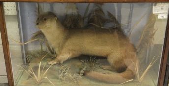 An early to mid 20th Century stuffed and mounted Otter in naturalistic setting and three sided