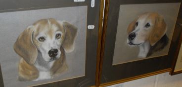 A CHARLES JONES "Warrior" head study of a hound watercolour signed and dated 1988 bottom right