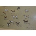 TOM CARR "RAC Beagles" pencil and watercolour study heightened in white signed in pencil and dated