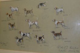TOM CARR "RAC Beagles" pencil and watercolour study heightened in white signed in pencil and dated