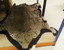 An early to mid 20th Century stuffed and mounted Leopard skin rug with half head on blue felt