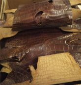 A box of various crocodile skins