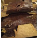 A box of various crocodile skins