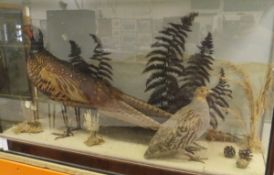 A stuffed and mounted Cock Pheasant with English Partridge set in naturalistic setting and three