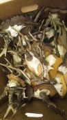 A box containing a large collection of Roe Deer antlers on skulls mounted on shield shaped plaques