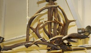 A red deer antler chandelier of three branch form