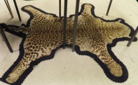 An early to mid 20th Century mounted Leopard skin rug on blue felt backing by Theobold Brothers