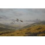 GEOFFREY CAMPBELL-BLACK "Grouse in a flight over Moorland" oil on canvas signed lower left
