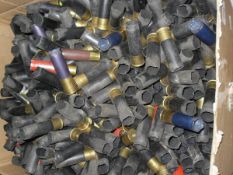 A large collection of mainly 8-gauge cartridges (spent,