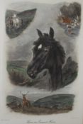 AFTER GEORGE WRIGHT "First Favourite", study of horse racing scene, colour print,