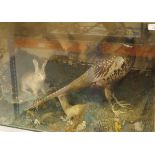 A mid 20th Century stuffed and mounted Cock Pheasant together with Rabbit and Stoat set in