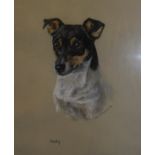 MARY BROWNING "Judy" head study of terrier pastel signed mid-right dated '73