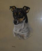 MARY BROWNING "Judy" head study of terrier pastel signed mid-right dated '73