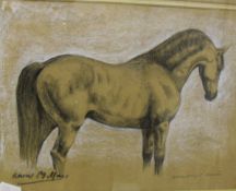 RAOUL MILLAIS (1901-1999) "Heavyweight Hunter", study of horse, pastel heightened in white,