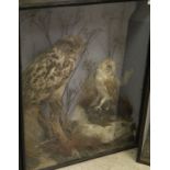 An early 20th Century stuffed and mounted Eagle Owl together with a Barn Owl set in naturalistic