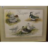 JAN BOWLES "Teal, Snipe and Lapwing", pencil watercolour study, signed bottom right,