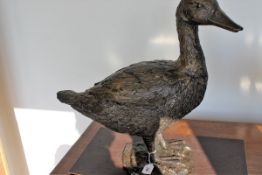 A chocolate brown patinated bronze figure of an Egyptian goose