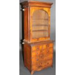 A 19th Century miniature mahogany display cabinet on chest with cavetto moulded cornice above a