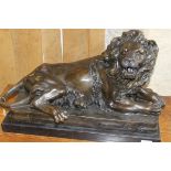 AFTER ANTOINE LOUIS BARYE "Snarling recumbent lion", bronze, with chocolate brown patination,