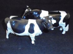 Two Beswick figures of a Friesian bull "CH Coddington Hilt Bar" designed by Arthur Gredington,