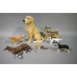 A large Beswick figure of a seated Labrador, a Beswick figure of a standing Labrador,