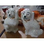 A Pair Of Staffordshire Pottery White Seated Dogs With Glass Eyes