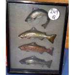 CAST FISH: Unusual vintage glazed and framed set of 4 x hand painted plaster cast small game fish,