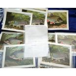 VENABLES PRINTS & SIGNED  LETTER: (Qty) Collection of over 100 original Bernard Venables colour