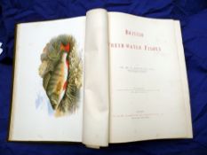 Houghton, Rev W - "British Freshwater Fishes" William McKenzie edition, large format, brown cloth