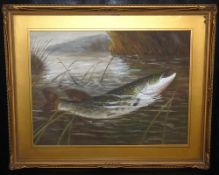 PAINTING: Late Victorian ?Oil on board, pike breaking surface in the style of Rolf, mount board