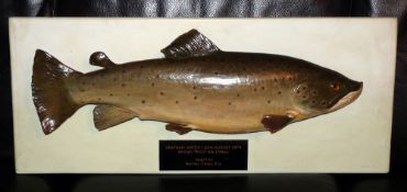 CAST FISH: Cast Trout mounted on wooden backboard 30"x12", engraved plaque "Grafham Water 28th.