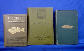 Jenkins, JT - "The Fishes Of The British Isles" 1st ed 1925, H/b, decorative cover, gilt text, 278