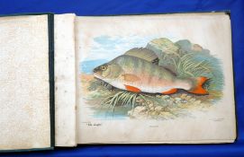 The Angler Picture Album book, being a collection of A4 colour litho prints by ETW Dennis