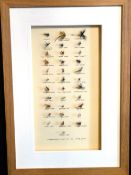 FRAMED FLIES: Fine collection of traditional dry flies tied by the late Mick Lunn the last in the
