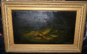 ORIGINAL OIL: Victorian oil on board, the days catch ,pike roach ,dace and perch on bank, split to