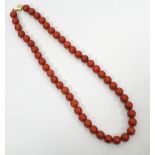 CORAL BEAD NECKLACE with nine carat gold clasp, 40cm long and total weight approximately 39.