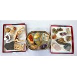 COLLECTION OF MINERAL AND STONE SPECIMENS including Dolomite, Pyrite and Coral, 3 trays,