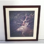 'BEASTLY PROFILE' BY SARAH WALKER photographic print, signed and titled to the mount,