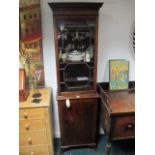 A MAHOGANY GLAZED DOOR CABINET on panelled base with astragal glazed door 203cm (h) x 56cm (w) x