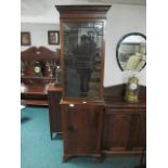 A MAHOGANY GLAZED DOOR CABINET on panelled base with astragal glazed door 203cm (h) x 56cm (w) x