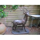 A BROWN PATINATED BRONZE GROUP OF A STAG shown standing on an oval platform base 104cm x 42cm