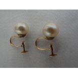 Pair of pearl earrings with 9ct gold screw clasps