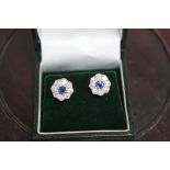 Pretty pair of diamond and sapphire ear studs