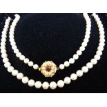 Single string of cultured pearls with 9ct gold florette clasp with garnet to centre