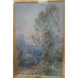 Late 19thC English School, Silver birch trees by a lake, Watercolour, 78 x 50cm