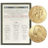 Hans Krebs 1953 Nobel Prize