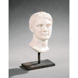 Italian Marble Bust of Augustus